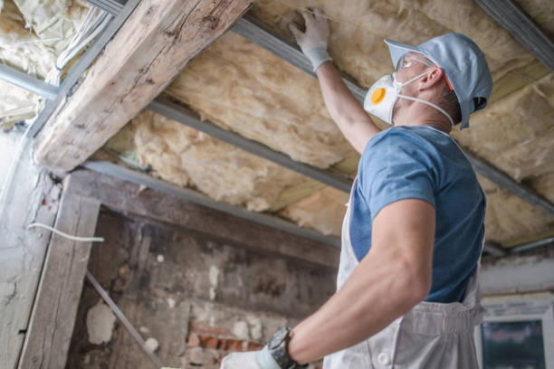 Best Insulation Installation Services in Lancaster, OH